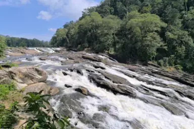 Athirapilly-Vazhachal Triphills.com