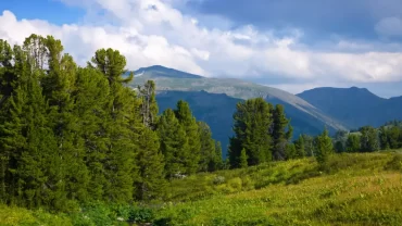 Hill Stations Near Delhi You Must Explore Triphills.com