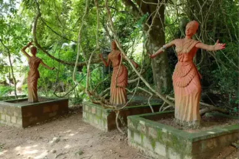 Nakshatravanam Triphills.com