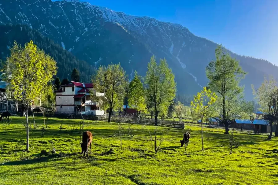 Kashmir Budget Tour Package 5 Nights 6 days