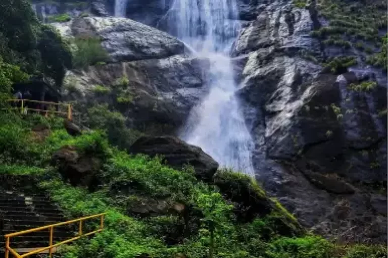Palaruvi Waterfalls Tripihills.com
