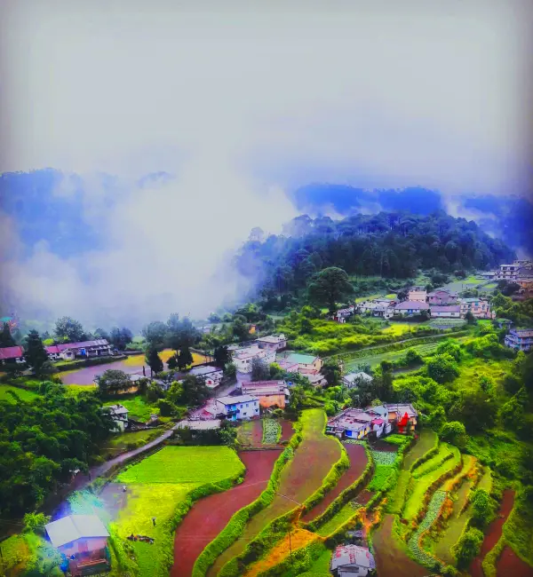 Pelling