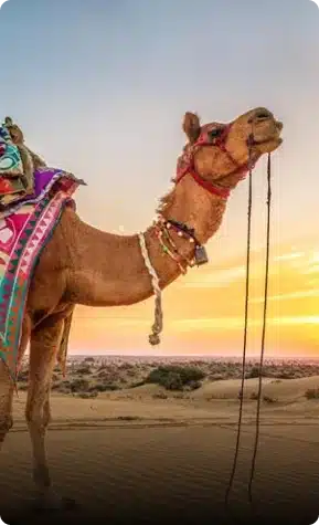 Rajasthan