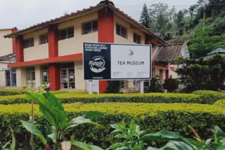 Tea Museum triphills.com