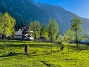 himachal pradesh triphills.com