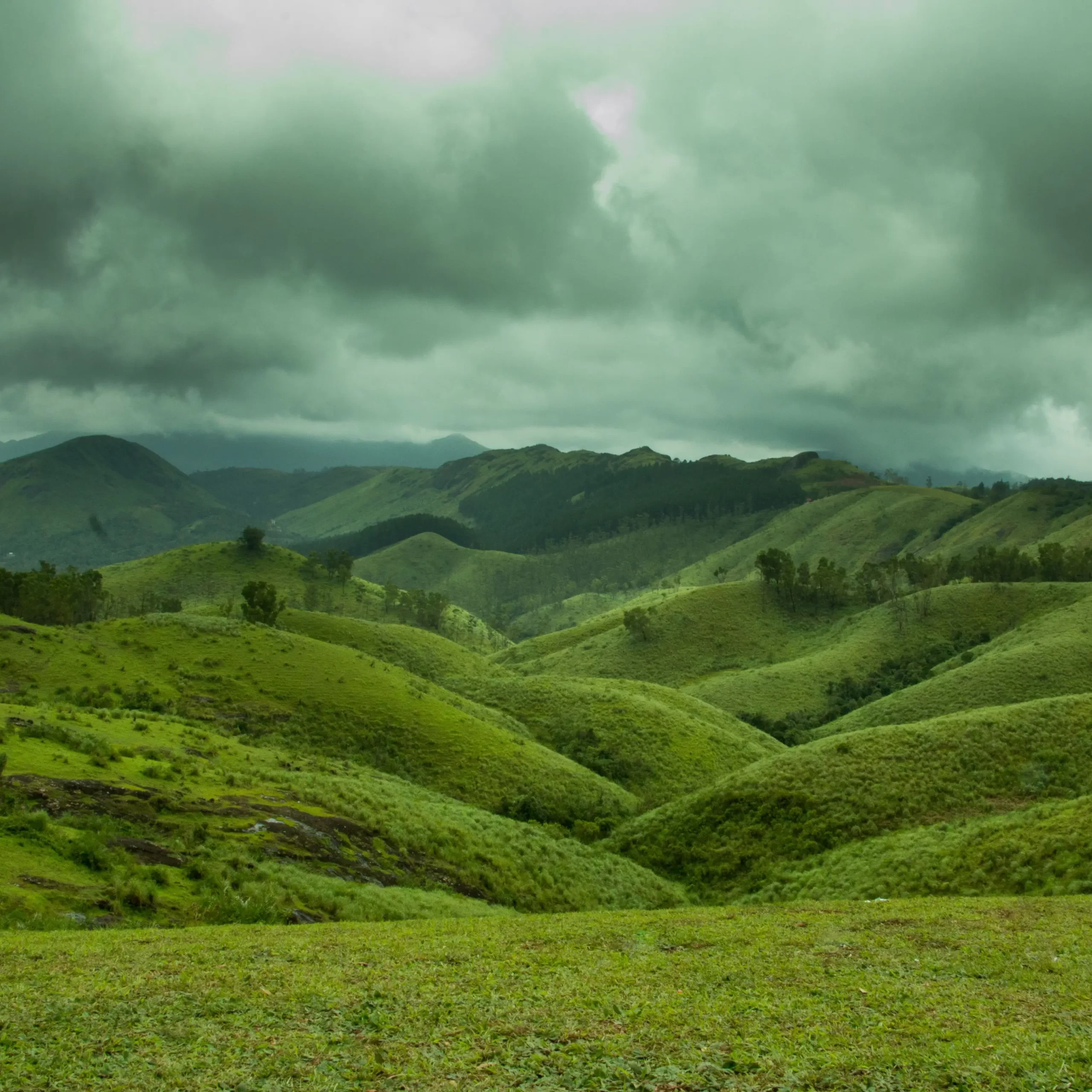 Vagamon