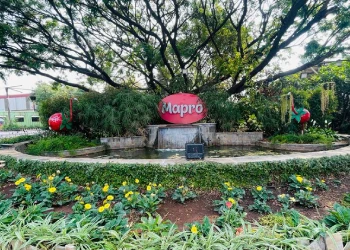Mapro Farms triphills.com