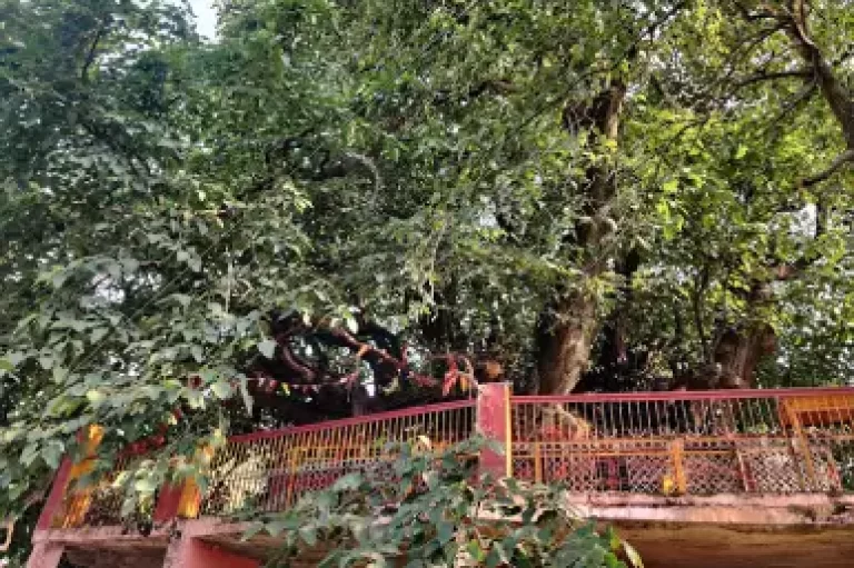 Kalpavriksh Triphills.com