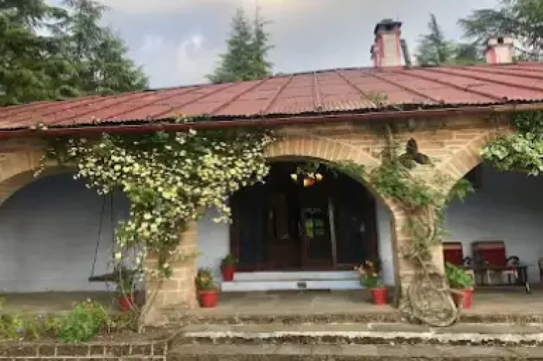 Khali Estate Triphills.com