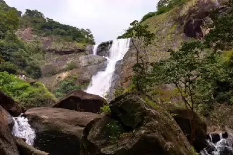 Palaruvi Waterfalls Triphills.com
