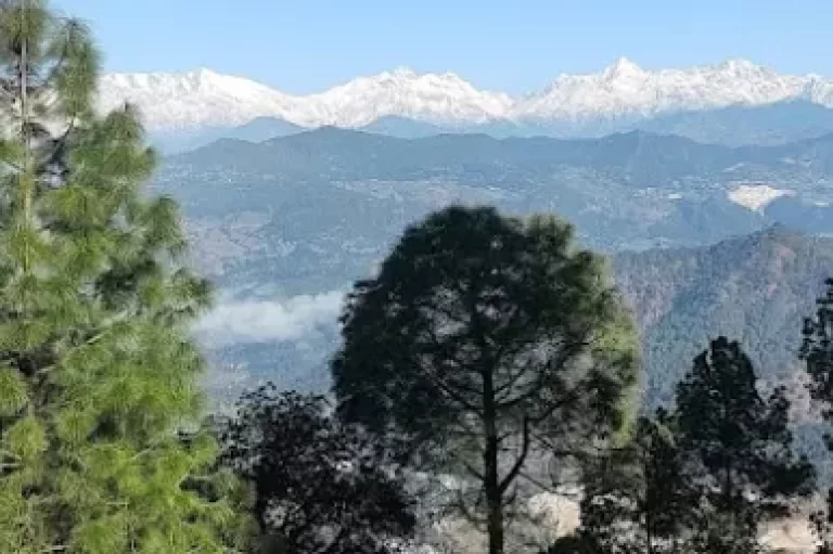 bijaypur triphills.com