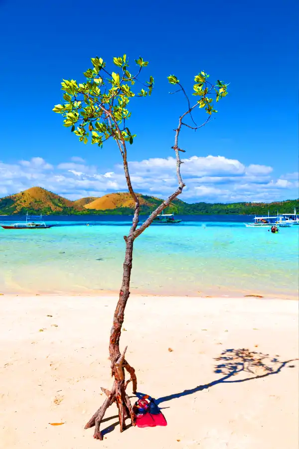 Curieuse Island