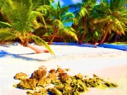 Seychelles triphills.com