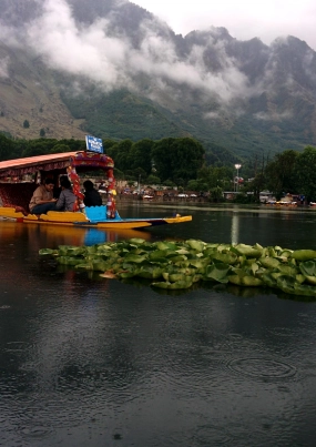 Shikara Ride on Dal Lake Triphills.com