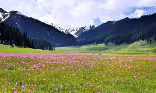 Bangus Valley triphills.com