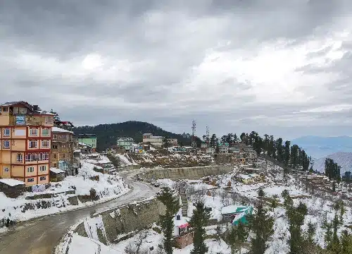 Kufri himachal tour
