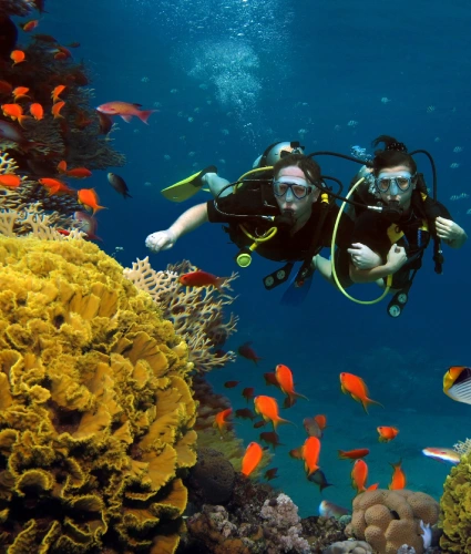 Scuba Diving Triphills.com