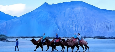 Camel ride in Nubra Valley with mountains in Ladakh