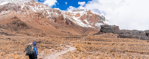Trekker walking on a mountain trail with snow-capped peaks in the background.