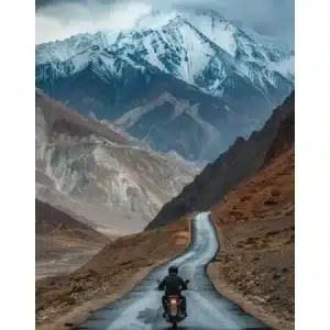 Motorcyclist riding on a scenic Ladakh mountain road.