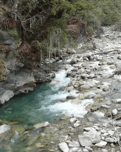 Jigme Dorji National Park